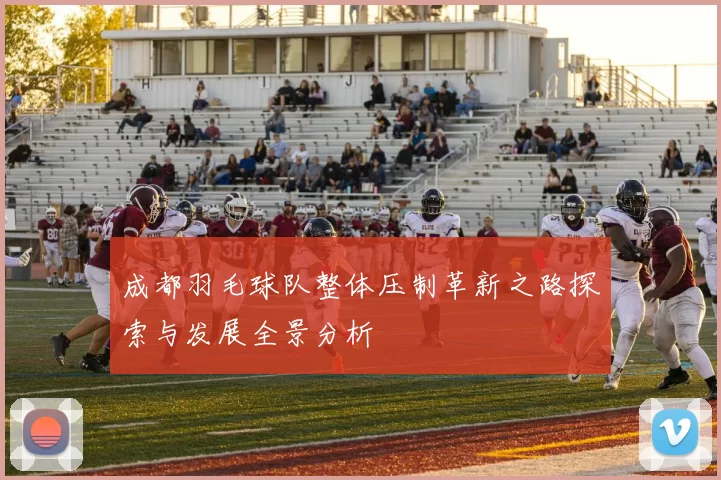 成都羽毛球队整体压制革新之路探索与发展全景分析
