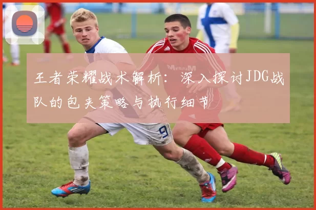 王者荣耀战术解析：深入探讨JDG战队的包夹策略与执行细节