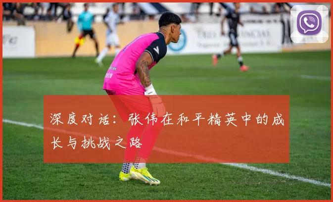 深度对话：张伟在和平精英中的成长与挑战之路