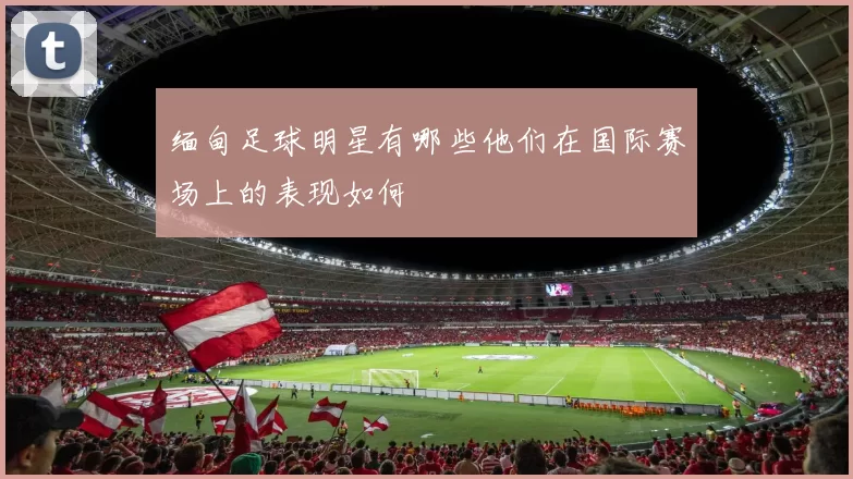 缅甸足球明星有哪些他们在国际赛场上的表现如何