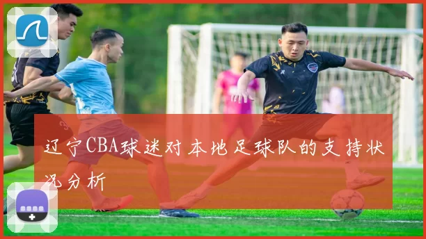 辽宁CBA球迷对本地足球队的支持状况分析