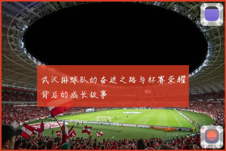 武汉排球队的奋进之路与杯赛荣耀背后的成长故事