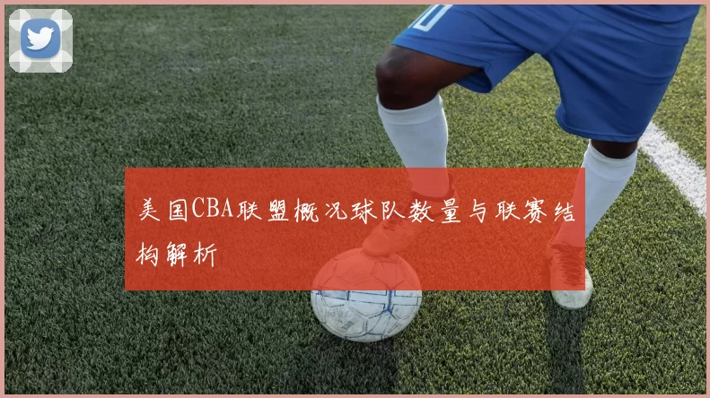 美国CBA联盟概况球队数量与联赛结构解析