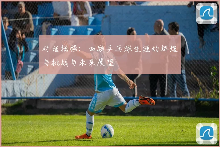 对话杨强：回顾乒乓球生涯的辉煌与挑战与未来展望